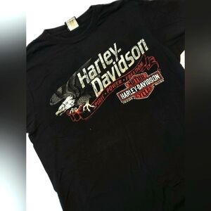Mens Harley Davison t-shirt, From Ogden Utah. The Golden spike